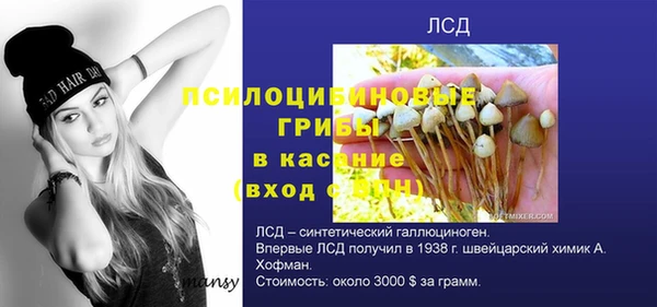 ПСИЛОЦИБИНОВЫЕ ГРИБЫ Алексеевка