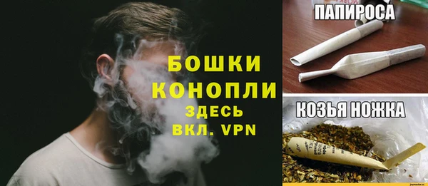 ПСИЛОЦИБИНОВЫЕ ГРИБЫ Алексеевка