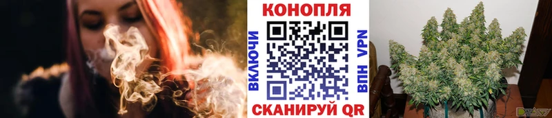 МАРИХУАНА семена  Хасавюрт 